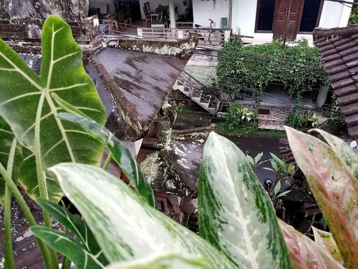 Wah Teja Homestay Ουμπούντ Ινδονησία